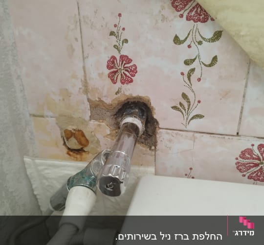 ברז מים מחובר לקיר עם צינור גמיש